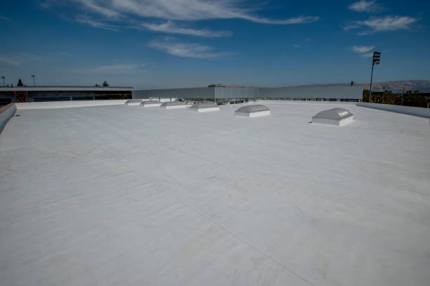 Best 4 Ply Roofing  in Pce, LA