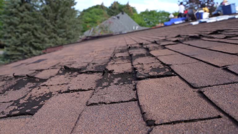 Best Green or Eco-Friendly Roofing Solutions  in Pce, LA