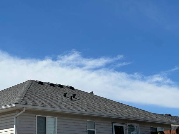 Best Roofing for New Construction  in Pce, LA
